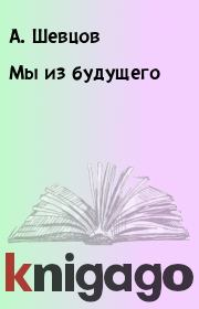 Книга - Мы из будущего.  А. Шевцов , К. Белевич  - прочитать полностью в библиотеке КнигаГо
