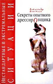 Книга - «Дикая звер», железная фрау и летающая тарелка.  Александр Власенко  - прочитать полностью в библиотеке КнигаГо