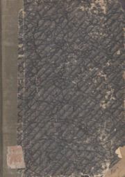 Завоевание Земли. Том 3. Николай Константинович Лебедев