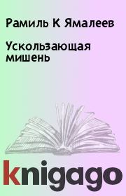 Книга - Ускользающая мишень.  Рамиль К Ямалеев  - прочитать полностью в библиотеке КнигаГо
