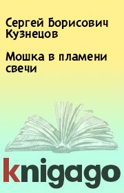Книга - Мошка в пламени свечи.  Сергей Борисович Кузнецов  - прочитать полностью в библиотеке КнигаГо