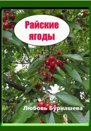 Книга - Райские ягоды.  Любовь Бурнашева  - прочитать полностью в библиотеке КнигаГо