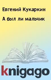 Книга - А был ли мальчик.  Евгений Кукаркин  - прочитать полностью в библиотеке КнигаГо