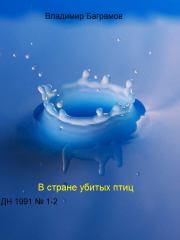 Страна убитых птиц. Владимир Игоревич Баграмов