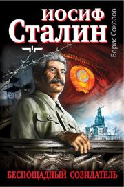 Иосиф Сталин – беспощадный созидатель. Борис Вадимович Соколов