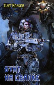 Бунт на свалке. Олег Александрович Волков