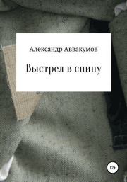 Книга - Выстрел в спину.  Александр Леонидович Аввакумов  - прочитать полностью в библиотеке КнигаГо