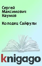 Книга - Колодец Сайфулы.  Сергей Максимович Наумов  - прочитать полностью в библиотеке КнигаГо