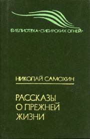 Книга - Е-два, Е-четыре [Е-2, Е-4].  Николай Яковлевич Самохин  - прочитать полностью в библиотеке КнигаГо