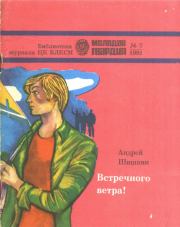 Книга - Встречного ветра!.  Андрей Александрович Шишкин  - прочитать полностью в библиотеке КнигаГо