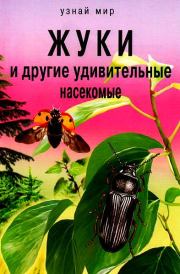 Жуки и другие удивительные насекомые. Сергей Юрьевич Афонькин