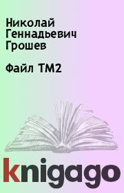 Книга - Файл ТМ2.  Николай Геннадьевич Грошев  - прочитать полностью в библиотеке КнигаГо