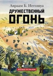 Дружественный огонь. Авраам Бен Иегошуа