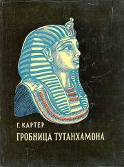 Книга - Гробница Тутанхамона.  Говард Картер  - прочитать полностью в библиотеке КнигаГо