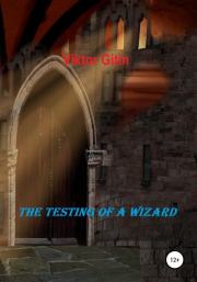 Книга - The Testing of a Wizard.  Виктор Гитин  - прочитать полностью в библиотеке КнигаГо