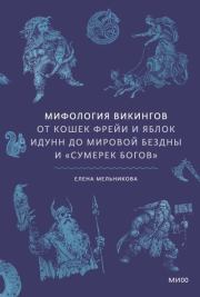 Мифология викингов. От кошек Фрейи и яблок Идунн до мировой бездны и «Сумерек богов». Елена Александровна Мельникова