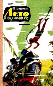 Книга - Лето в Калиновке.  Николай Иванович Гомолко  - прочитать полностью в библиотеке КнигаГо
