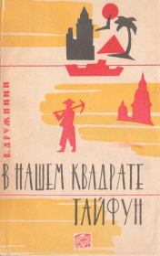 Книга - В нашем квадрате тайфун.  Владимир Николаевич Дружинин (писатель)  - прочитать полностью в библиотеке КнигаГо