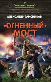 Книга - Огненный мост.  Александр Александрович Тамоников  - прочитать полностью в библиотеке КнигаГо