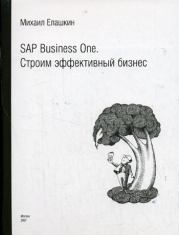 Книга - SAP Business One. Строим эффективный бизнес.  Михаил Елашкин  - прочитать полностью в библиотеке КнигаГо