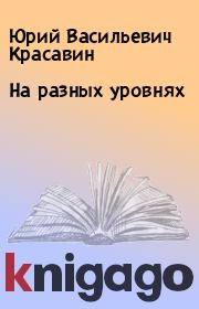 Книга - На разных уровнях.  Юрий Васильевич Красавин  - прочитать полностью в библиотеке КнигаГо