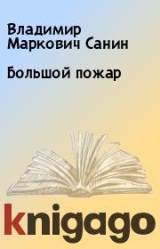 Книга - Большой пожар.  Владимир Маркович Санин  - прочитать полностью в библиотеке КнигаГо