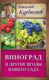 Книга - Виноград и другие ягоды вашего сада.  Николай Иванович Курдюмов  - прочитать полностью в библиотеке КнигаГо