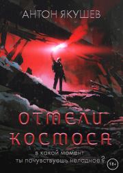 Книга - Отмели космоса.  Антон Якушев  - прочитать полностью в библиотеке КнигаГо