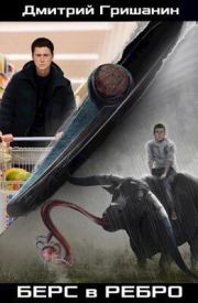 Берс в ребро (СИ). Дмитрий Анатольевич Гришанин