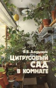 Цитрусовый сад в комнате. Венедикт Владимирович Дадыкин