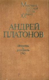 Книга - Штурм лабиринта.  Андрей Платонов  - прочитать полностью в библиотеке КнигаГо