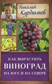 Книга - Как вырастить виноград на Юге и на Севере.  Николай Иванович Курдюмов  - прочитать полностью в библиотеке КнигаГо