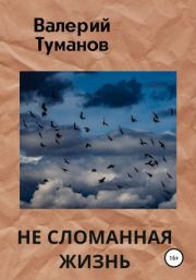 Книга - Не сломанная жизнь.  Валерий Петрович Туманов  - прочитать полностью в библиотеке КнигаГо