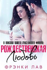 Рождественская любовь: найти свое счастье (ЛП). Фрэнки Лав