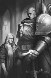 Гарро. Рыцарь в сером. Джеймс Сваллоу