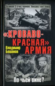 "Кроваво-Красная" Армия. По чьей вине?. Владимир Васильевич Бешанов