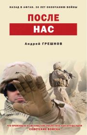 После нас. Андрей Борисович Грешнов