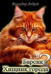 Хищник города. Андрей Олегович Волкидир