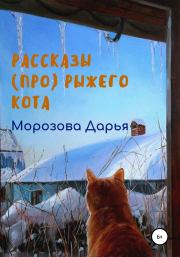 Книга - Рассказы (про) рыжего кота.  Дарья Вячеславовна Морозова  - прочитать полностью в библиотеке КнигаГо