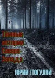 Тёмные истории Северо-Запада. Юрий Александрович Погуляй