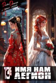 Имя нам Легион. Том 13. Дмитрий Дорничев