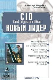 CIO новый лидер. Постановка задач и достижение целей. Эллен Китцис
