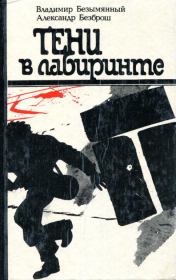 Тени в лабиринте. Владимир Михайлович Безымянный