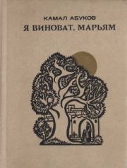 Я виноват, Марьям. Камал Ибрагимович Абуков