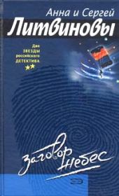 Книга - Заговор небес.  Анна и Сергей Литвиновы  - прочитать полностью в библиотеке КнигаГо