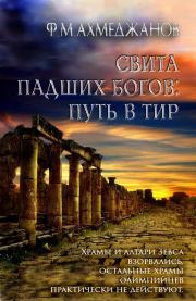 Книга - Свита падших богов: путь в Тир.  Фарит Маратович Ахмеджанов  - прочитать полностью в библиотеке КнигаГо
