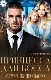 Принцесса для босса. Семья из прошлого (СИ). Элина Витина