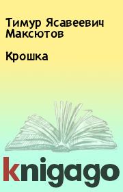 Книга - Крошка.  Тимур Ясавеевич Максютов  - прочитать полностью в библиотеке КнигаГо