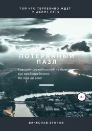 Потерянный пазл. Вячеслав Анатольевич Егоров