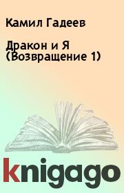 Книга - Дракон и Я (Возвращение 1).  Камил Гадеев  - прочитать полностью в библиотеке КнигаГо